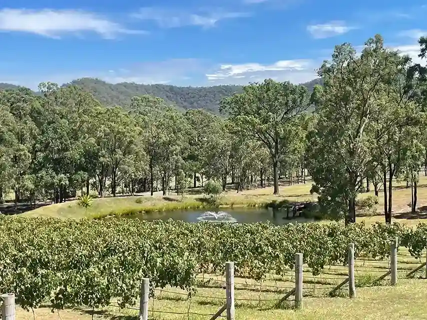 Samuel Vineyard